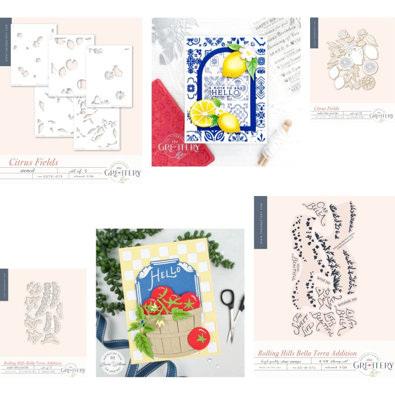 Clear Silicone Stamps For Card Making - Силиконовые штампы Checks Out Citrus Fields