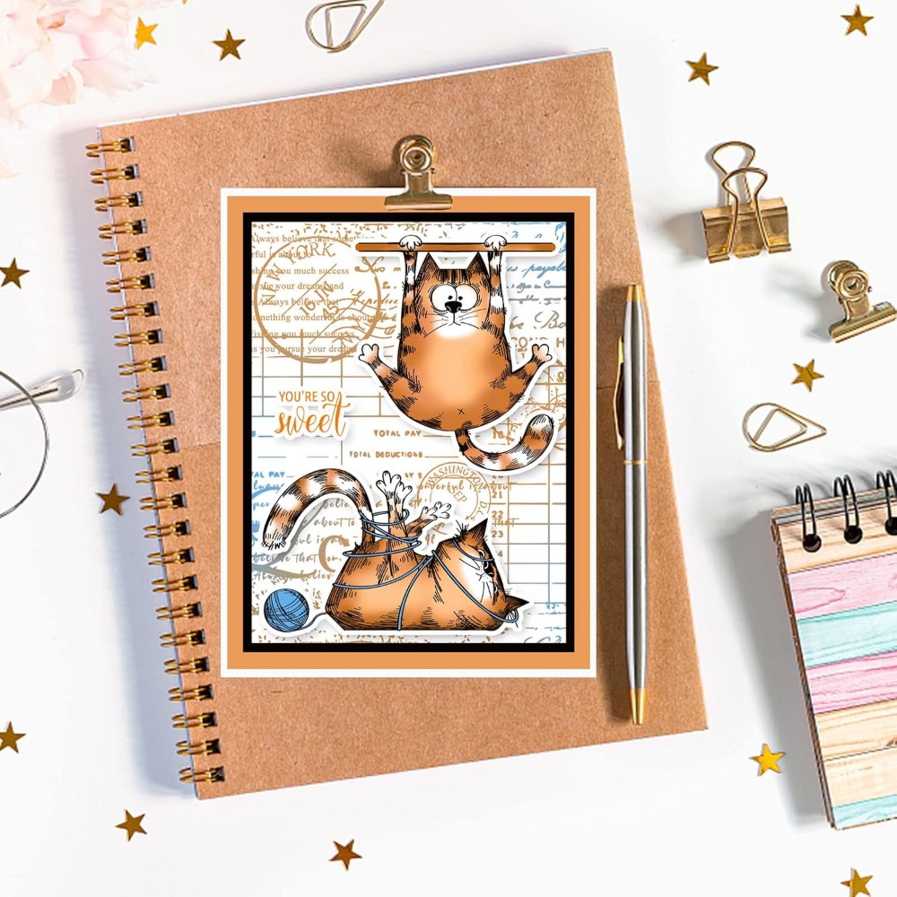 8,3x5,8 дюйма, прозрачные штам – обзор и цена Clear Silicone Stamps For Card Making