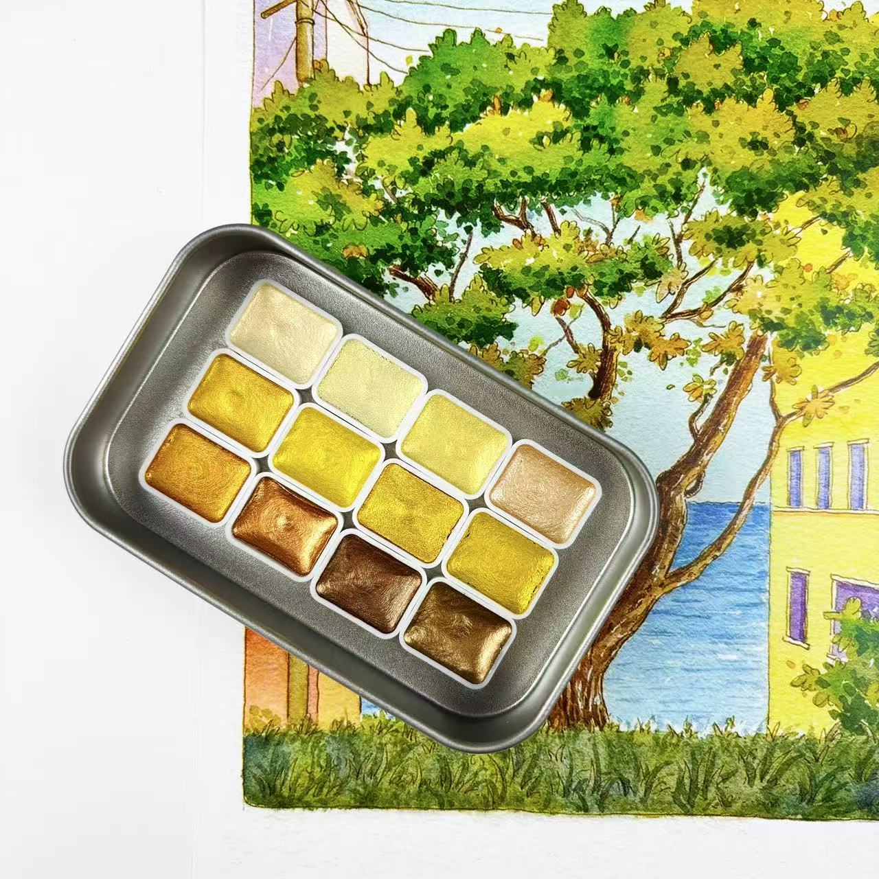 Полный набор профессиональных  – обзор и цена Watercolor Paint Set Solid Pigment